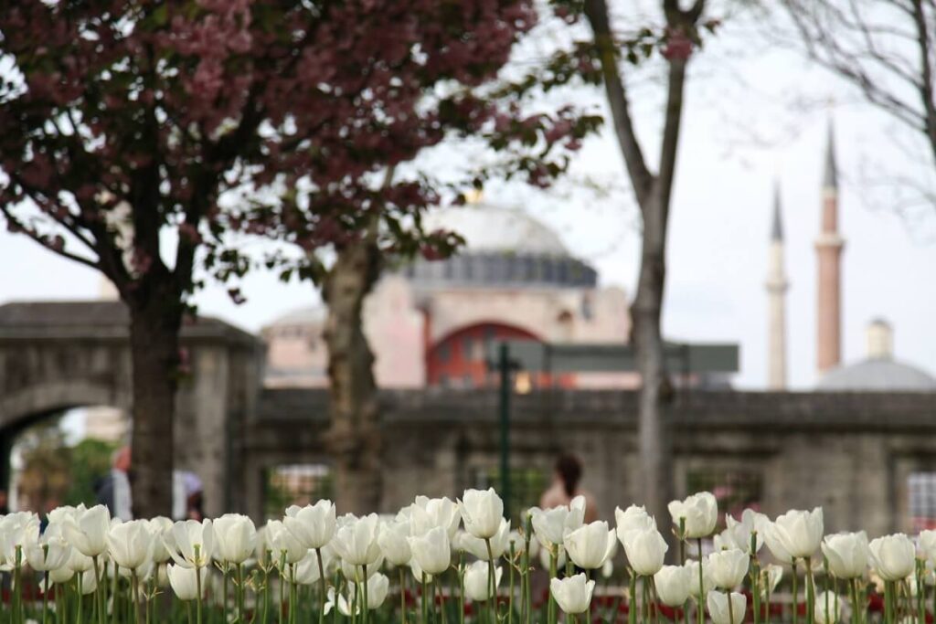 Весна в Стамбуле
